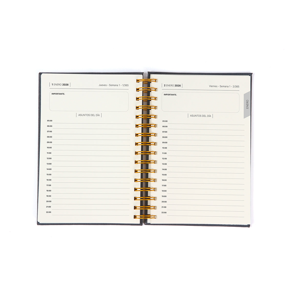 Agenda diaria Bernetti