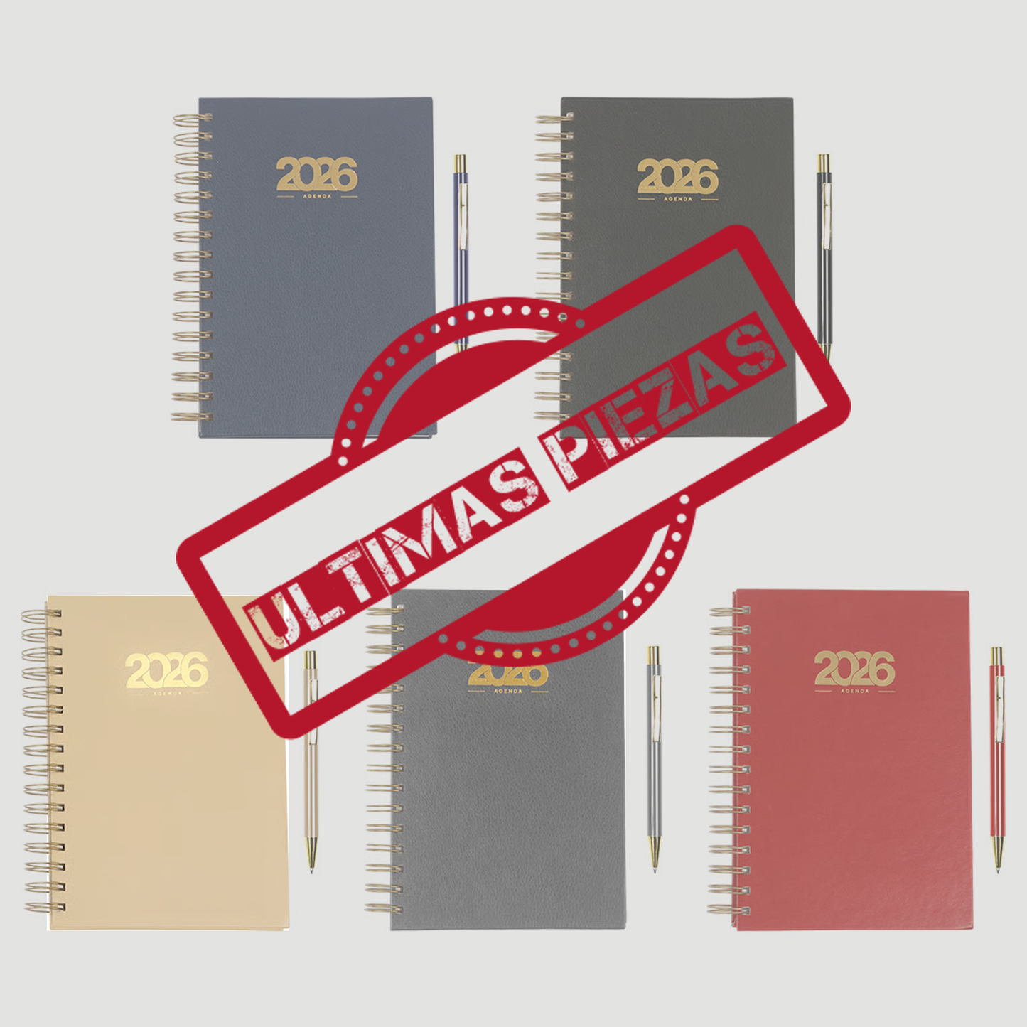 Agenda diaria Bernetti